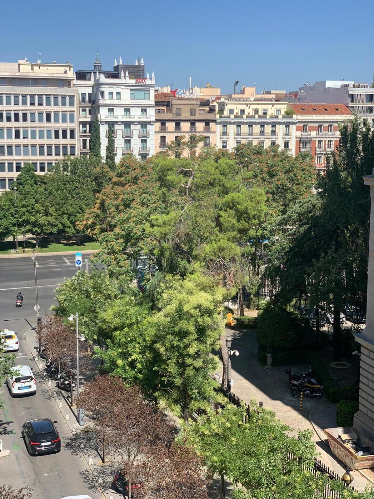 Luxury Studio Retiro Park & Prado Museum Мадрид Екстериор снимка